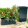 Easy 2 Grow Irrigation Kit and Extension Kit