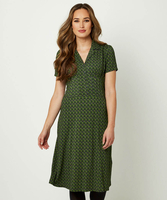 Curiosity Dress