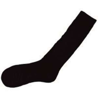 Aquarius Silk Socks