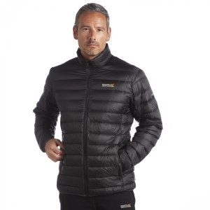 Regatta Womens Missy Padded Jacket