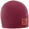 Salomon Logo Beanie