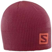 Salomon Logo Beanie