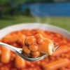Wayfayrer Beans Sausage