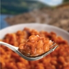 Wayfayrer Camping Food - Beans And Bacon
