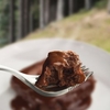 Wayfayrer Chocolate Sponge