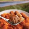 Wayfayrer Meat Ball And Pasta