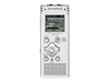 WS-650S Silver (2GB)