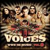 WWE - Voices WWE The Music Vol 9.