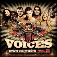 WWE - Voices WWE The Music Vol 9.
