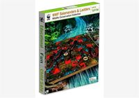 WWF Salamanders and Ladders - Terra