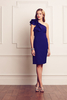 Coast Patrice One Shoulder
Dress