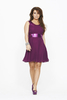 Coleen Wide Neck Occasion Skater Dress
