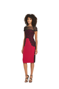 Definitions Lace Panel Dress