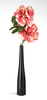 Two Peonys In Black Vase